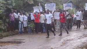 Towe youths launch demonstrations in Limbe