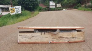 Bee-infested coffin placed on the road by separatists