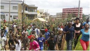 Ambazonia activists staging protest on October 1