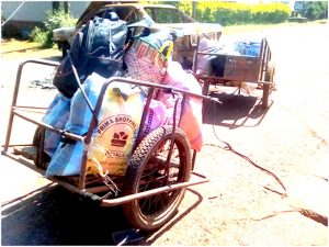 Luggage is transported in carts