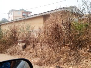  Bushy shops in abandoned Belo