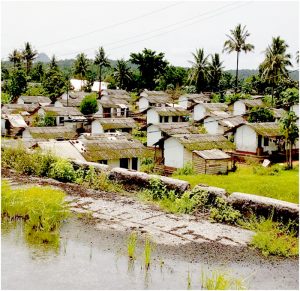 Lobe village, almost abandoned as crisis persists 