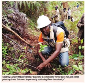 Bamunkumbit Afforestation Project to counter influence of climate change 